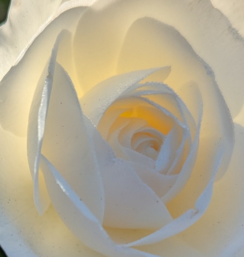 You Are Immortal And Only Your Behavior Transforms and&nbsp;Ends