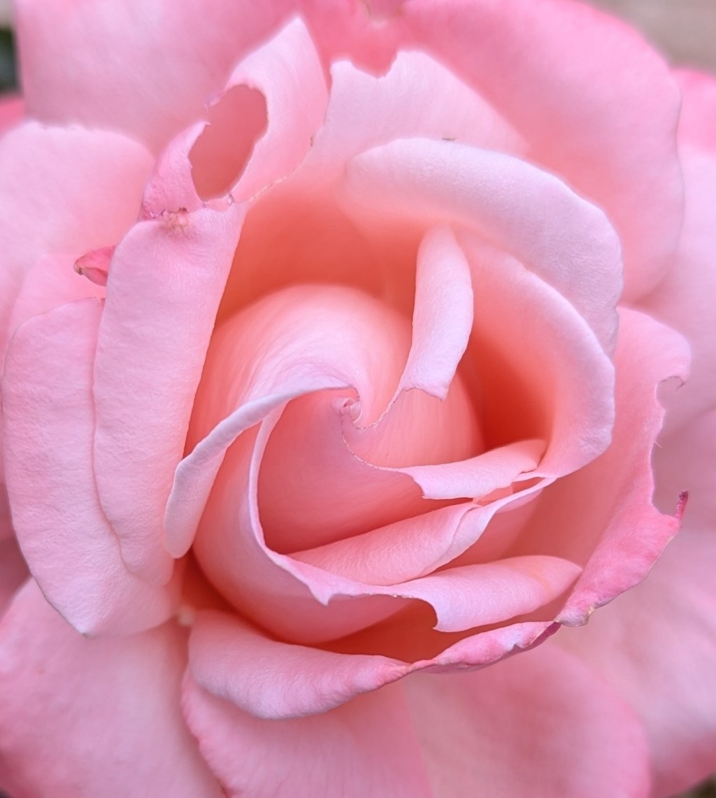 You Are The Only One&nbsp;Here