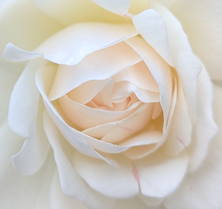 Deliberate Versus Spontaneous&nbsp;Agency