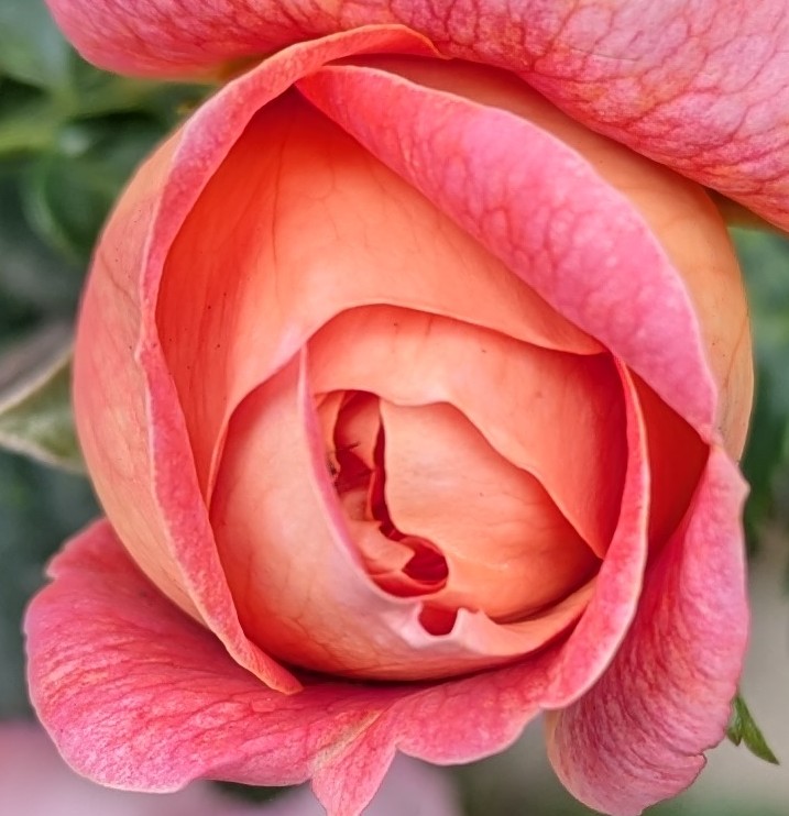 The Grace and the&nbsp;Horror