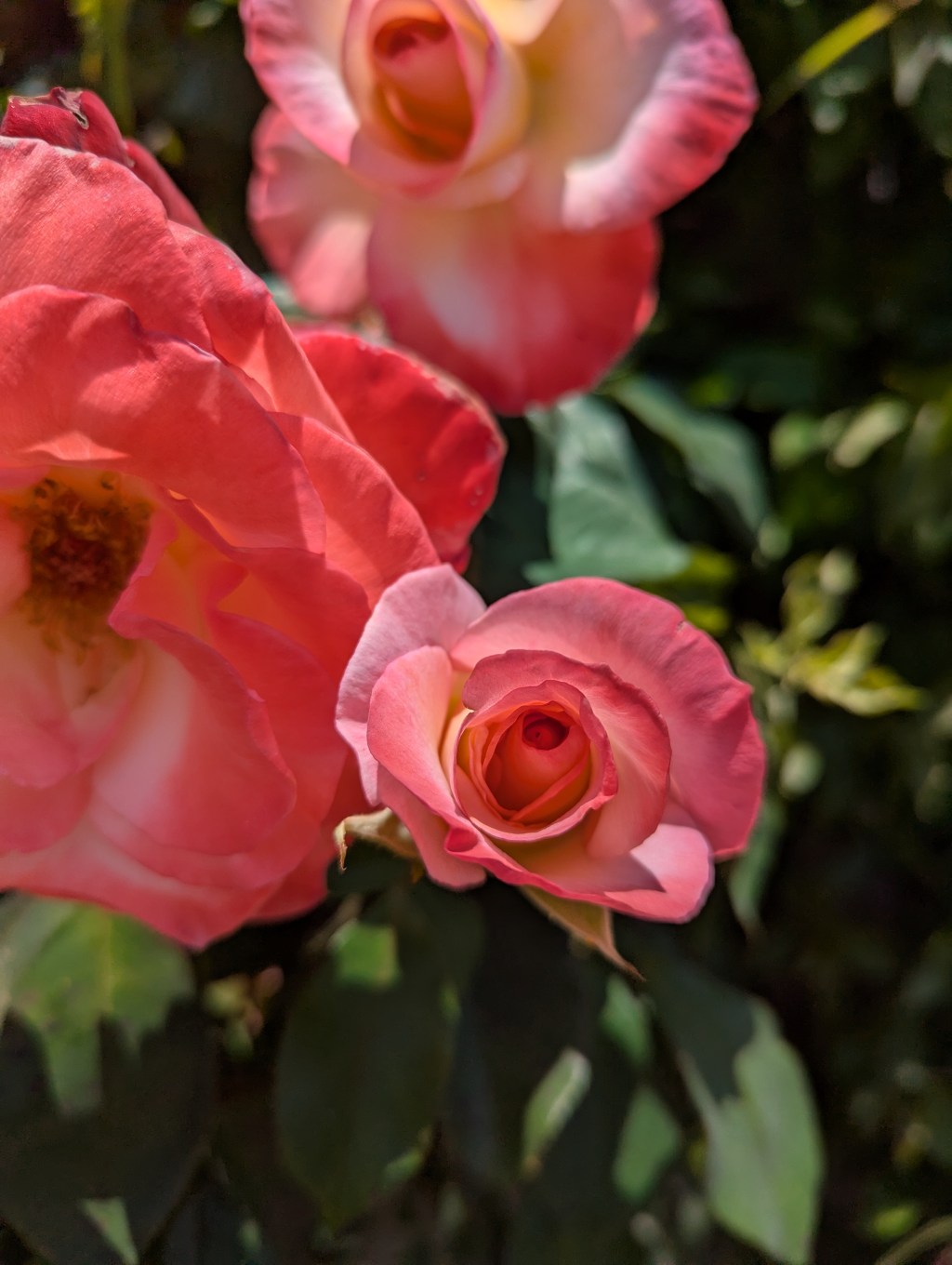 I Am, I Do Waking Meditation