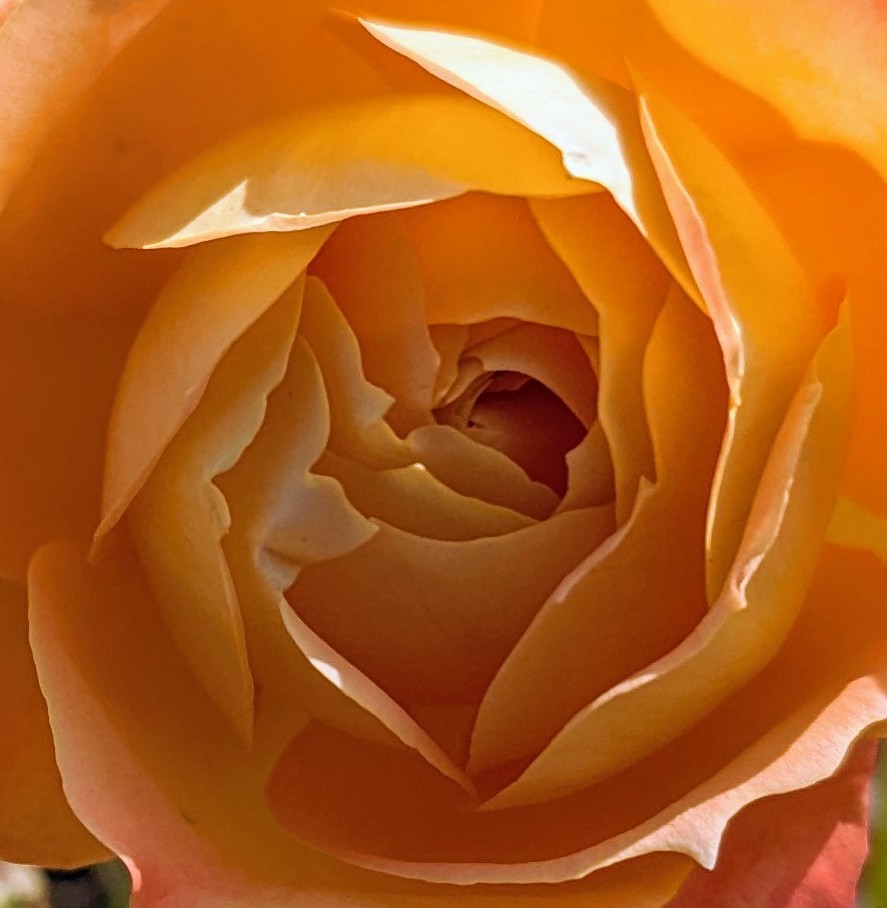 You Are Existence-Level Consciousness