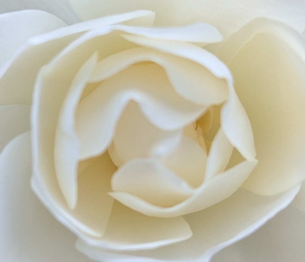 Non-Dual Supreme Self-Awareness is a Flow State