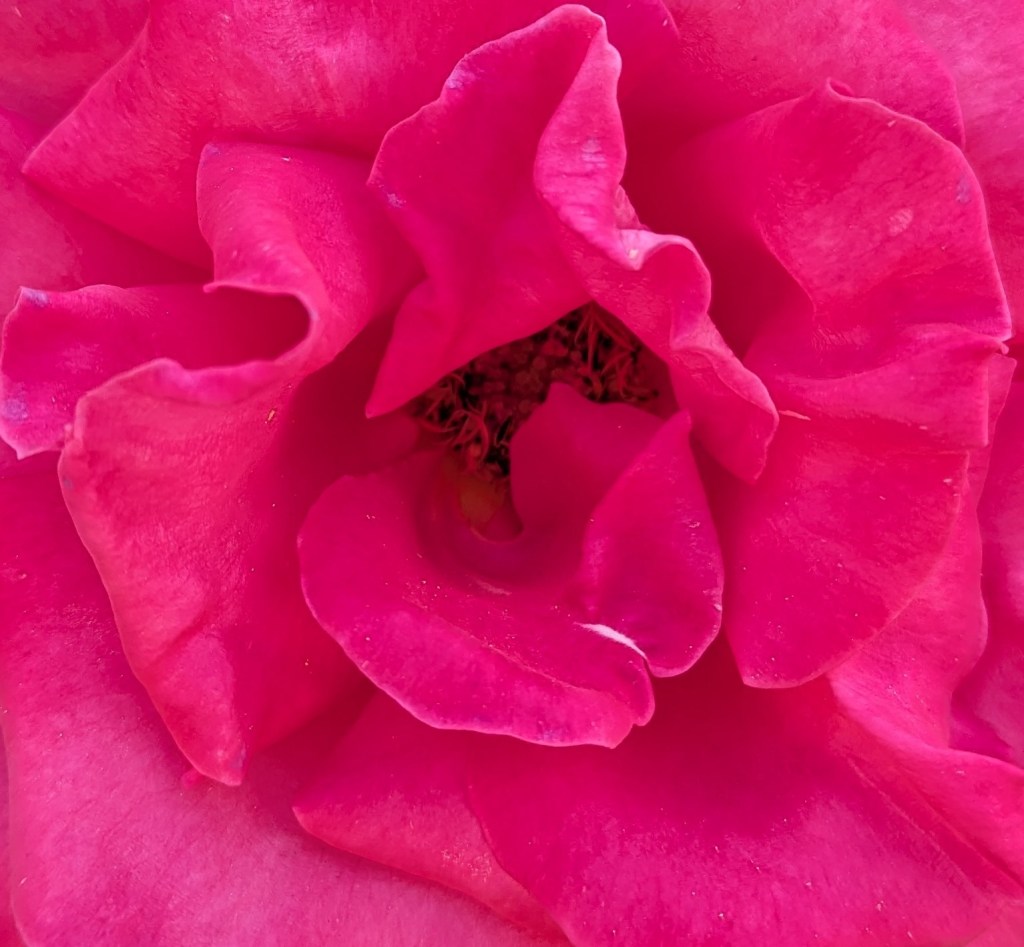 Self and Its Mask of Creativity